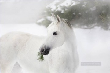 En blanco y negro Painting - caballo blanco y negro sobre los pinos y la nieve